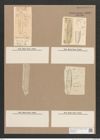 Navicula sp. (de-Toni-Nr.: Genus 1) Zeichnungen Sammlung Grunow Nr. 1629 (NHMW-BOT-W0368188)